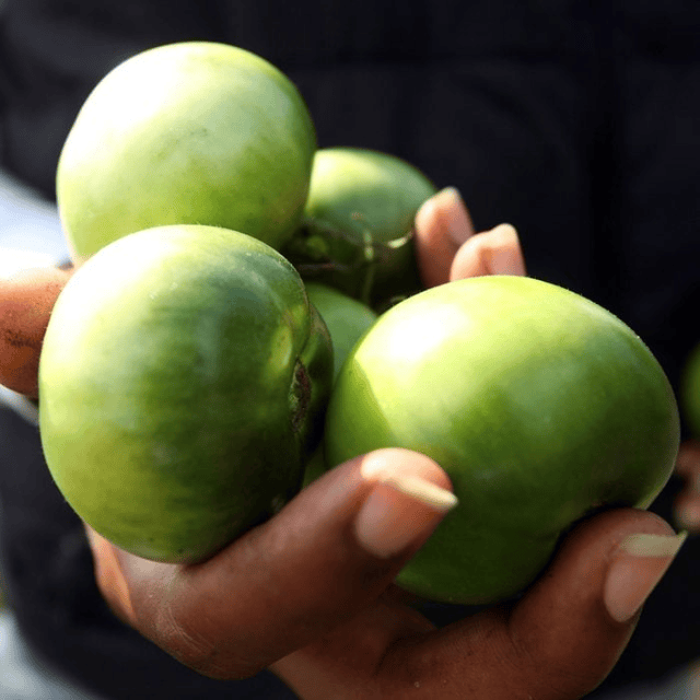Tomato, Tomoto – A Jeanne in the Kitchen